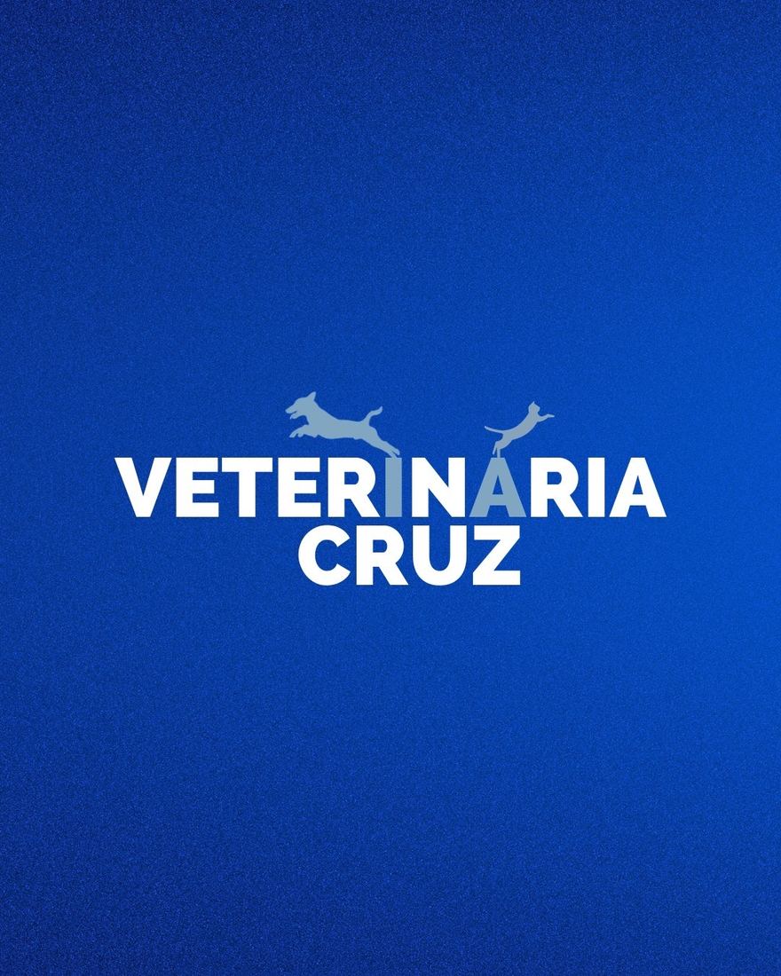 Nuevo logo de Veterinaria Cruz diseñado por Éter Studio